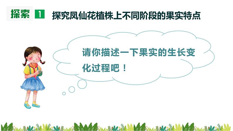 教科版科学四年级下册 1.6 果实和种子 同步课件+教案06