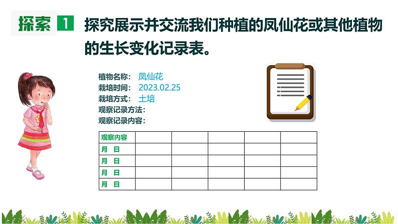 教科版科学四年级下册 1.8 凤仙花的一生 同步课件+教案+音视频素材03