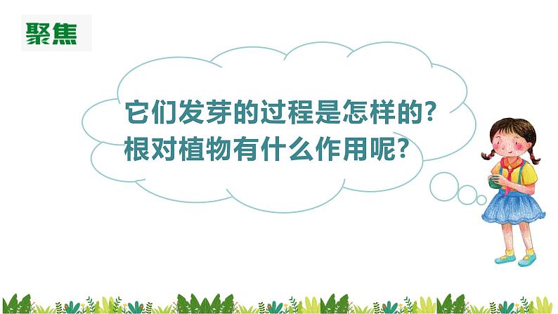 教科版科学四年级下册 1.3 种子长出了根 同步课件+教案+音视频素材04