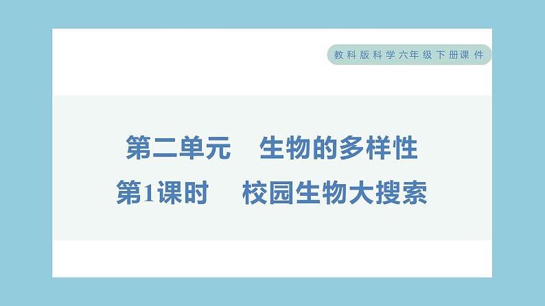 2.1 校园生物大搜索（习题课件）-2023-2024学年科学六年级下册教科版01