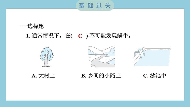 2.1 校园生物大搜索（习题课件）-2023-2024学年科学六年级下册教科版02