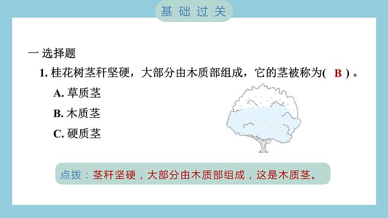 2.2 制作校园生物分布图（习题课件）-2023-2024学年科学六年级下册教科版第2页