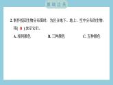 2.2 制作校园生物分布图（习题课件）-2023-2024学年科学六年级下册教科版