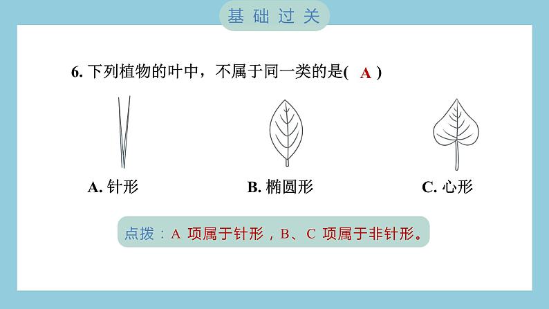 2.2 制作校园生物分布图（习题课件）-2023-2024学年科学六年级下册教科版第7页