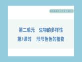 2.3 形形色色的植物（习题课件）-2023-2024学年科学六年级下册教科版