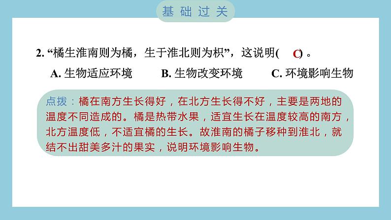 2.3 形形色色的植物（习题课件）-2023-2024学年科学六年级下册教科版03