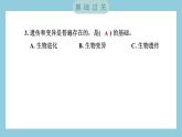 2.3 形形色色的植物（习题课件）-2023-2024学年科学六年级下册教科版