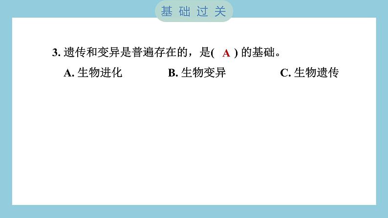 2.3 形形色色的植物（习题课件）-2023-2024学年科学六年级下册教科版04