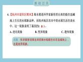 2.3 形形色色的植物（习题课件）-2023-2024学年科学六年级下册教科版