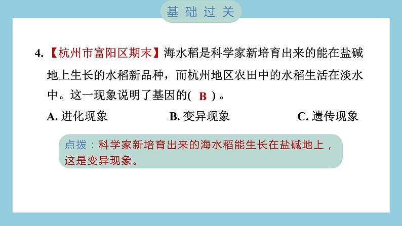 2.3 形形色色的植物（习题课件）-2023-2024学年科学六年级下册教科版05