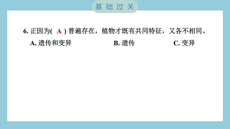 2.3 形形色色的植物（习题课件）-2023-2024学年科学六年级下册教科版07