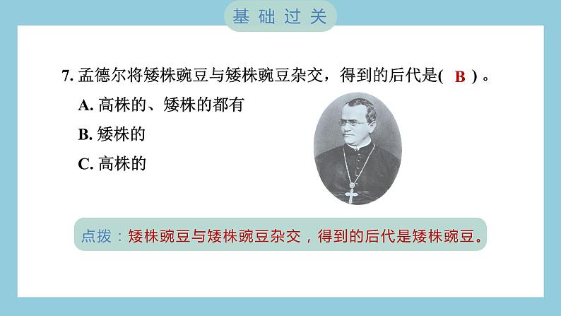 2.3 形形色色的植物（习题课件）-2023-2024学年科学六年级下册教科版08