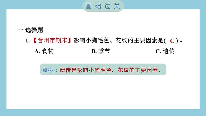 2.4 多种多样的动物（习题课件）-2023-2024学年科学六年级下册教科版02