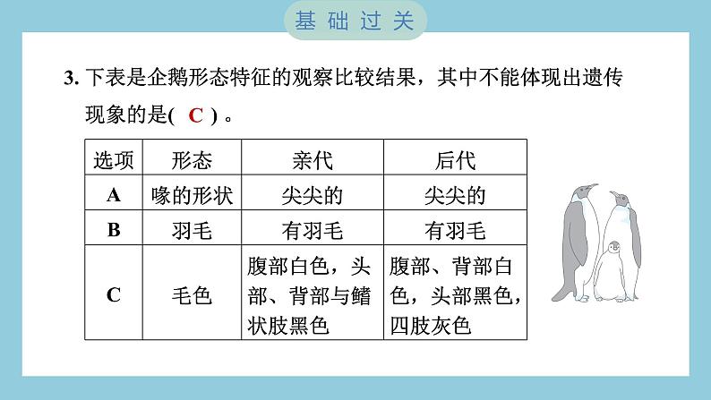 2.4 多种多样的动物（习题课件）-2023-2024学年科学六年级下册教科版04