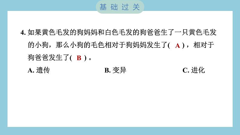 2.4 多种多样的动物（习题课件）-2023-2024学年科学六年级下册教科版05