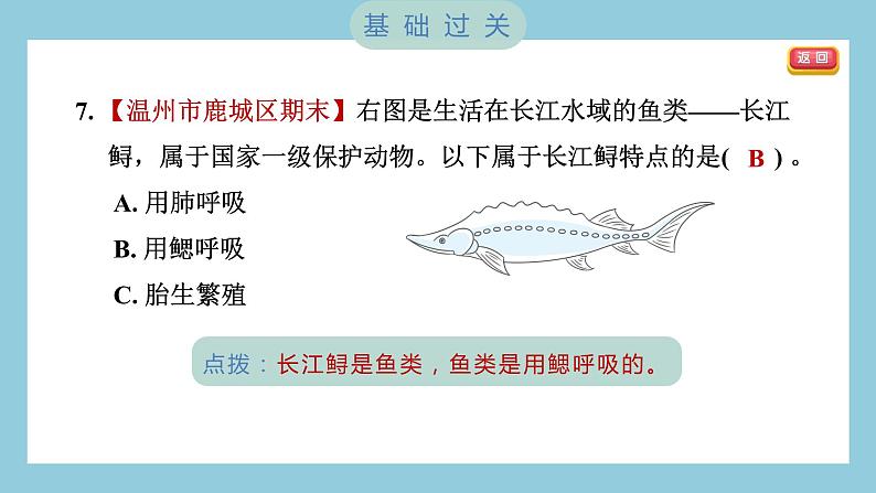 2.4 多种多样的动物（习题课件）-2023-2024学年科学六年级下册教科版08