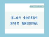 2.5 相貌各异的我们（习题课件）-2023-2024学年科学六年级下册教科版