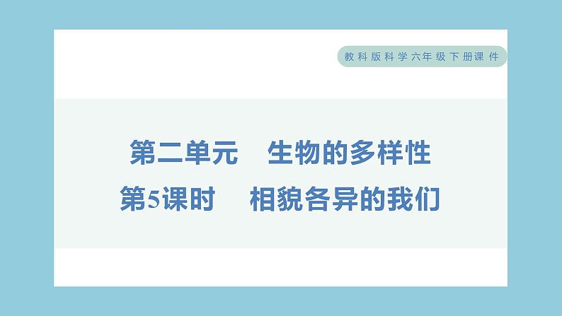 2.5 相貌各异的我们（习题课件）-2023-2024学年科学六年级下册教科版01