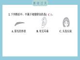 2.5 相貌各异的我们（习题课件）-2023-2024学年科学六年级下册教科版