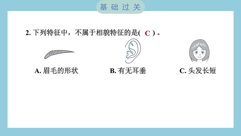 2.5 相貌各异的我们（习题课件）-2023-2024学年科学六年级下册教科版03