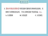 2.5 相貌各异的我们（习题课件）-2023-2024学年科学六年级下册教科版