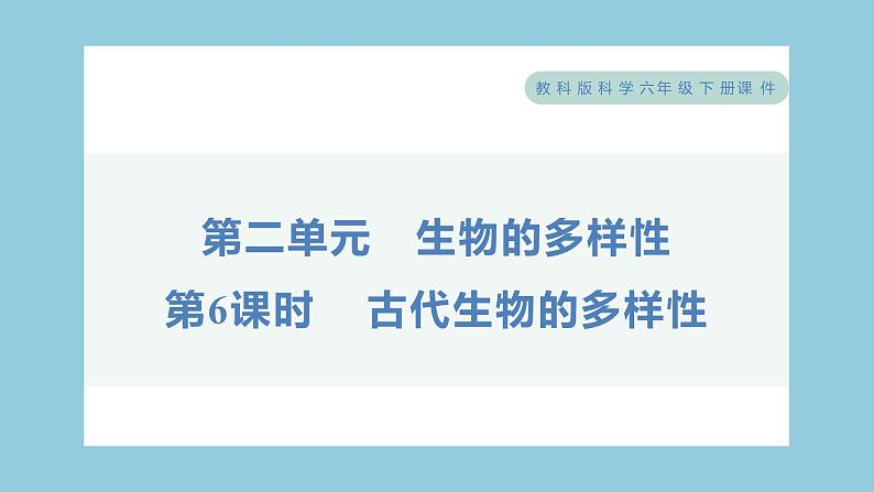 2.6 古代生物的多样性（习题课件）-2023-2024学年科学六年级下册教科版第1页