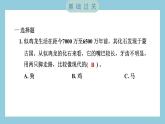 2.6 古代生物的多样性（习题课件）-2023-2024学年科学六年级下册教科版