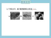 2.6 古代生物的多样性（习题课件）-2023-2024学年科学六年级下册教科版