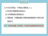 2.6 古代生物的多样性（习题课件）-2023-2024学年科学六年级下册教科版