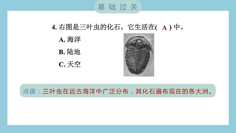 2.6 古代生物的多样性（习题课件）-2023-2024学年科学六年级下册教科版第5页