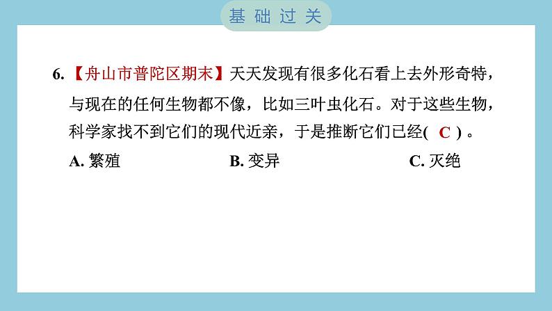 2.6 古代生物的多样性（习题课件）-2023-2024学年科学六年级下册教科版第7页