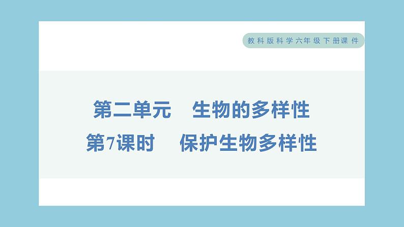 2.7 保护生物多样性（习题课件）-2023-2024学年科学六年级下册教科版01