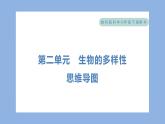 第二单元　生物的多样性 单元思维导图（习题课件）-2023-2024学年科学六年级下册教科版