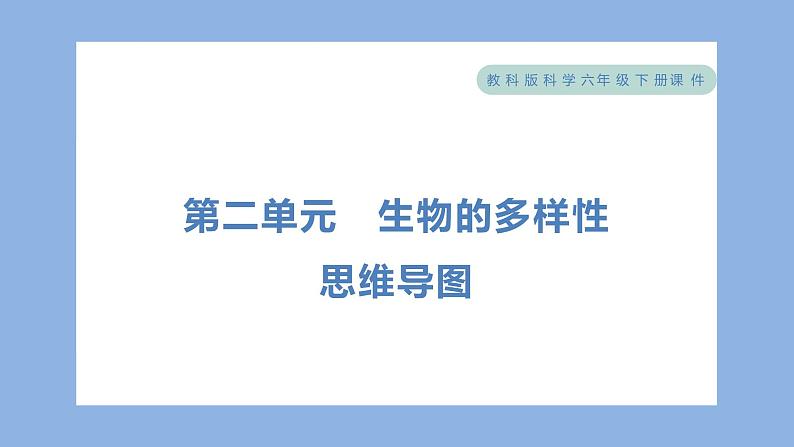 第二单元　生物的多样性 单元思维导图（习题课件）-2023-2024学年科学六年级下册教科版01