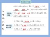 第二单元　生物的多样性 单元思维导图（习题课件）-2023-2024学年科学六年级下册教科版