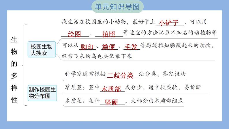 第二单元　生物的多样性 单元思维导图（习题课件）-2023-2024学年科学六年级下册教科版02