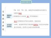 第二单元　生物的多样性 单元思维导图（习题课件）-2023-2024学年科学六年级下册教科版