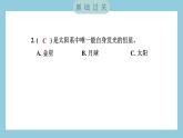 3.1 太阳系大家庭（习题课件）-2023-2024学年科学六年级下册教科版