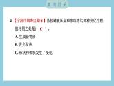 4.1 厨房里的物质与变化（习题课件）-2023-2024学年科学六年级下册教科版