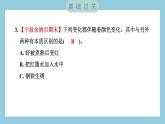 4.3 发现变化中的新物质（习题课件）-2023-2024学年科学六年级下册教科版