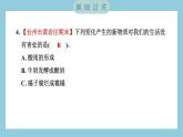 4.3 发现变化中的新物质（习题课件）-2023-2024学年科学六年级下册教科版