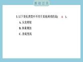 4.6 生命体中的化学变化（习题课件）-2023-2024学年科学六年级下册教科版
