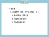 4.7 美丽的化学变化（习题课件）-2023-2024学年科学六年级下册教科版