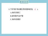 4.7 美丽的化学变化（习题课件）-2023-2024学年科学六年级下册教科版