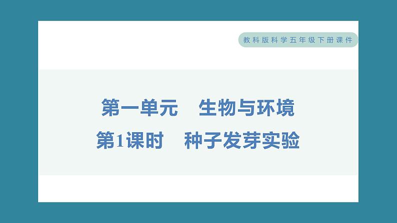 1.1 种子发芽实验（习题课件）-2023-2024学年科学五年级下册教科版01