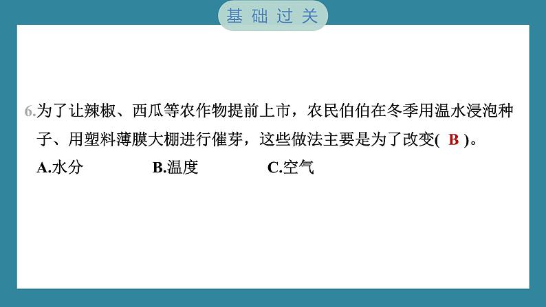 1.1 种子发芽实验（习题课件）-2023-2024学年科学五年级下册教科版06