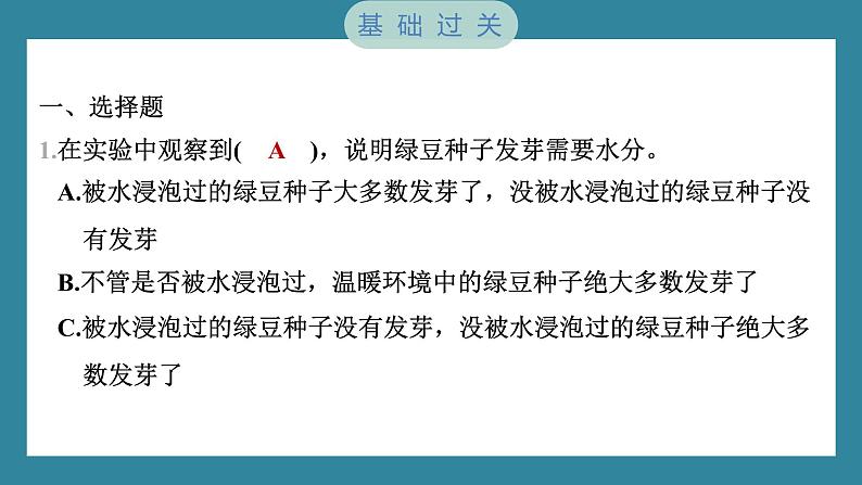 1.2 比较种子发芽实验（习题课件）-2023-2024学年科学五年级下册教科版02