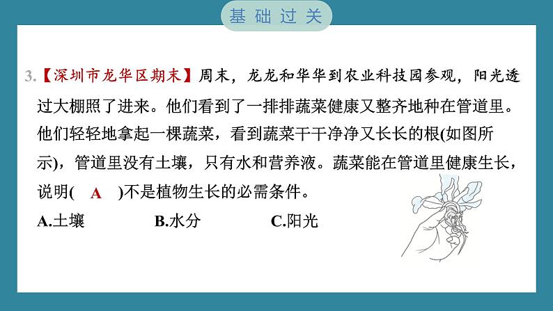 1.2 比较种子发芽实验（习题课件）-2023-2024学年科学五年级下册教科版04