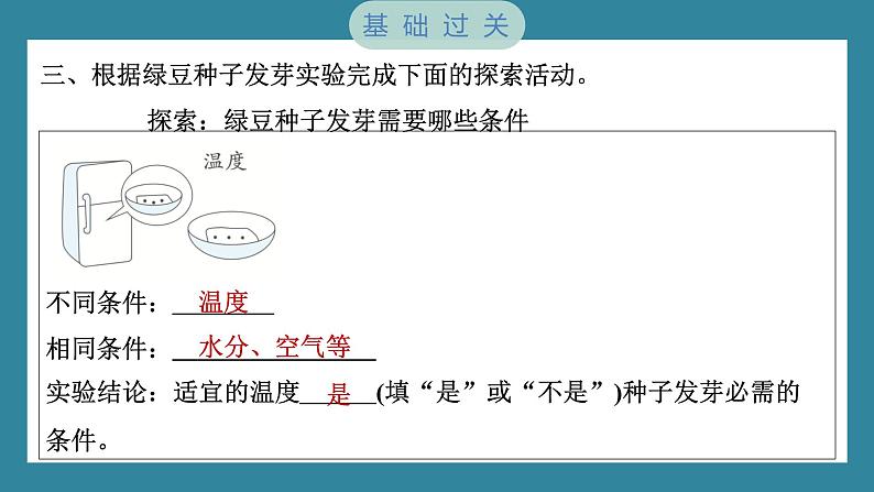 1.2 比较种子发芽实验（习题课件）-2023-2024学年科学五年级下册教科版07