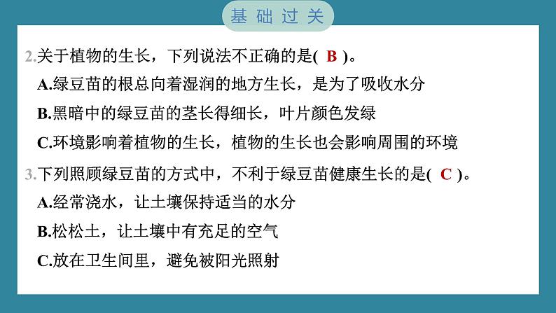 1.3 绿豆苗的生长（习题课件）-2023-2024学年科学五年级下册教科版第3页